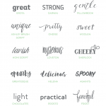 Professional and Artistic Font Bundle - a collection of typefaces in a variety of styles to keep you covered for any project that comes your way! Perfect for graphic designers, bloggers, crafters and creatives.