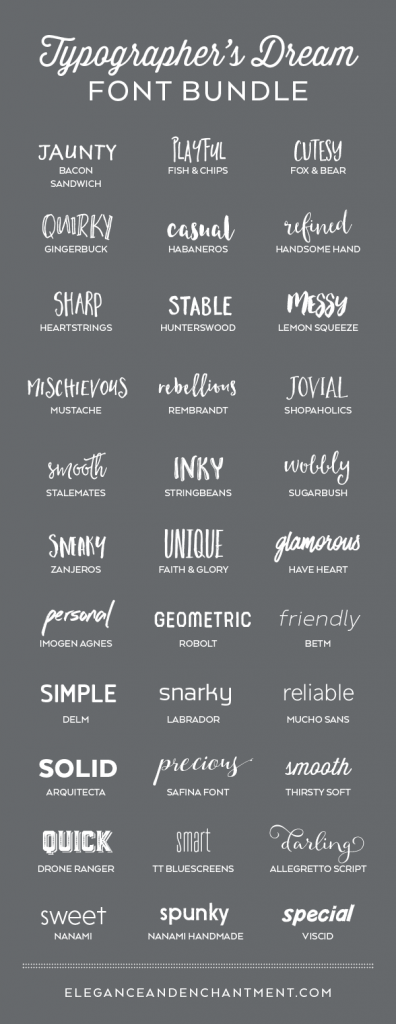 Typographer's Dream Font Bundle